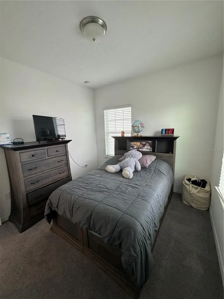 9338 Tyrella Pine Trail Winter Garden FL 34787