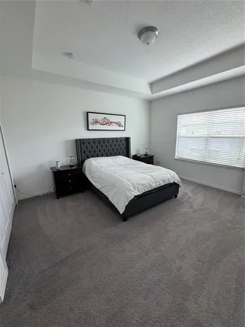 9338 Tyrella Pine Trail Winter Garden FL 34787