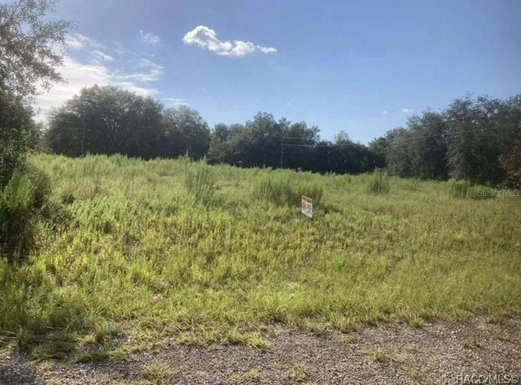 7692 N Fisher Trrace Citrus Springs FL 34434