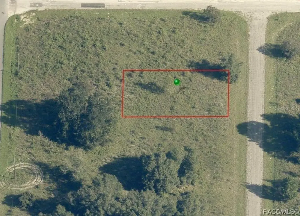 7692 N Fisher Trrace Citrus Springs FL 34434