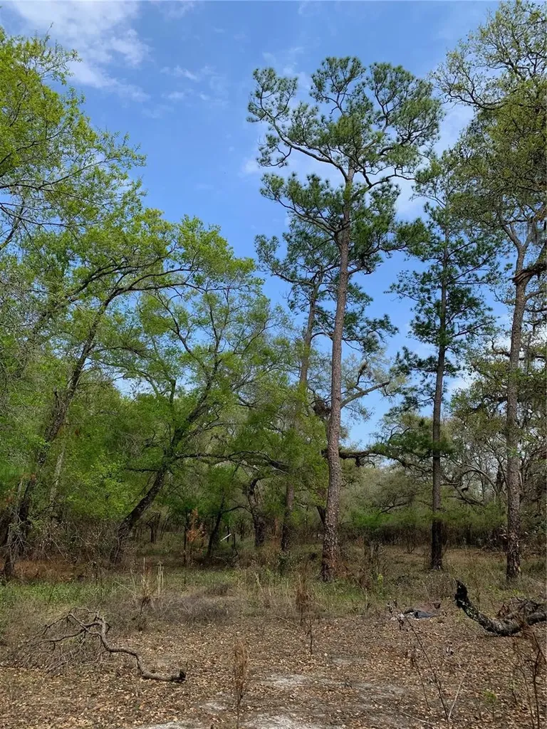 33074 Ranch Road Dade City FL 33523