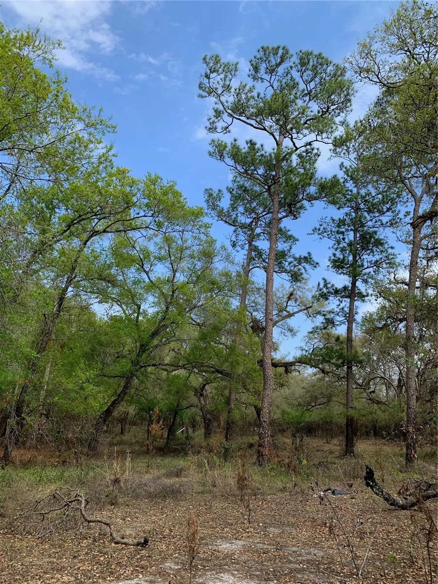 33074 Ranch Road Dade City FL 33523