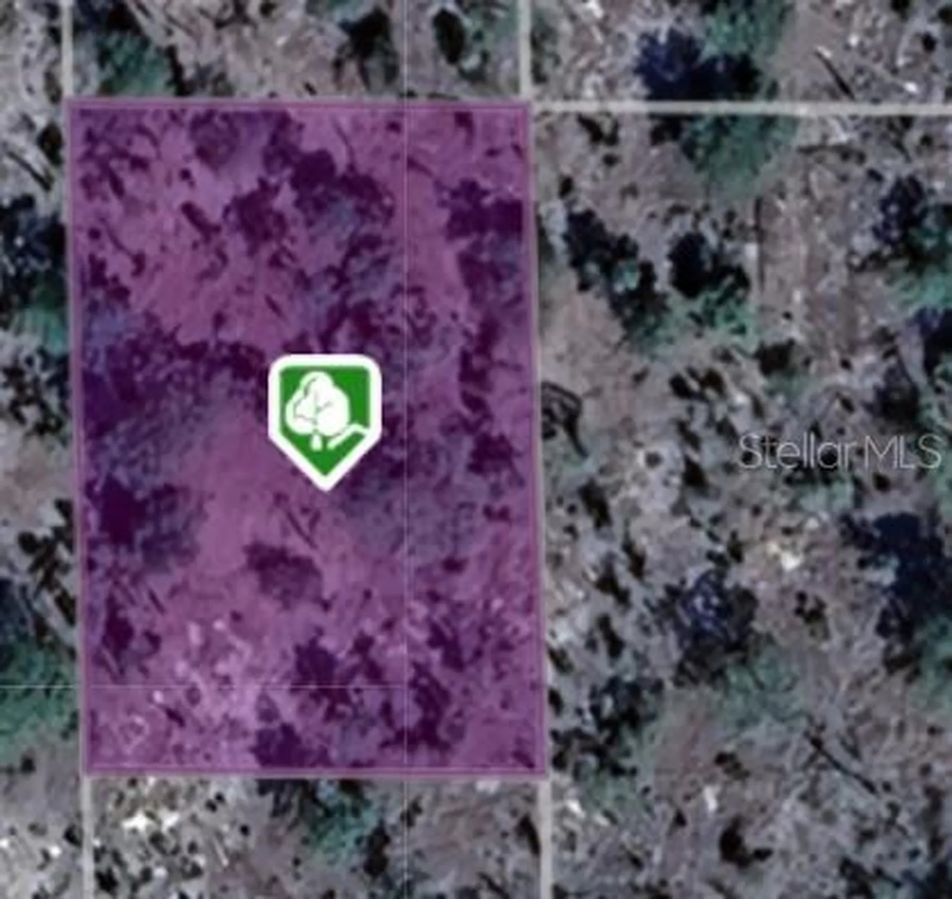 208 Massachusetts Avenue Hawthorne FL 32640