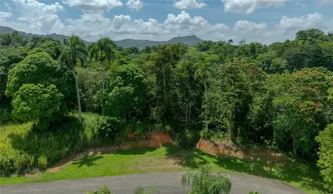 C42-43 Valle Escondido Guaynabo PR 00971