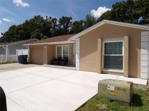 8506 Seven Coves Court Tampa FL 33634