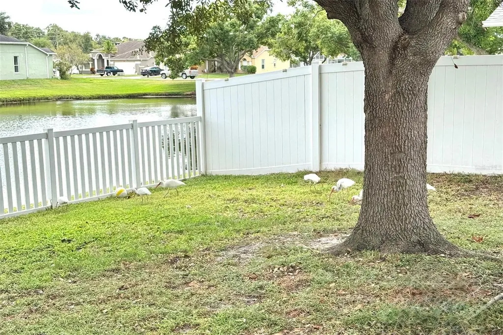 7306 Skyview Avenue New Port Richey FL 34653
