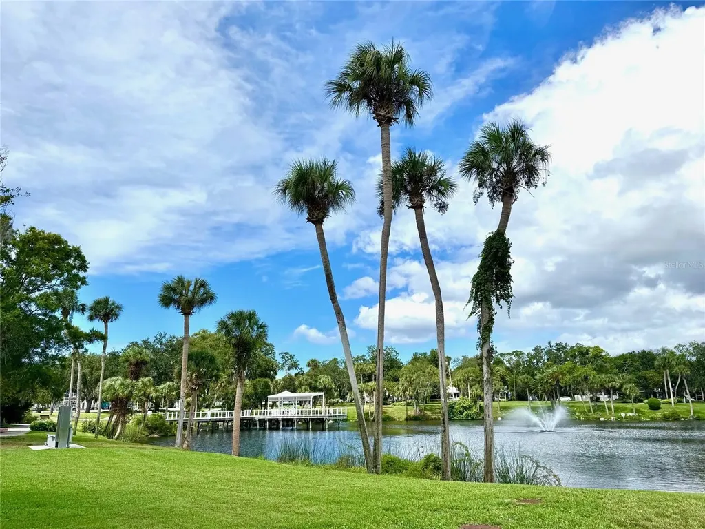 7306 Skyview Avenue New Port Richey FL 34653