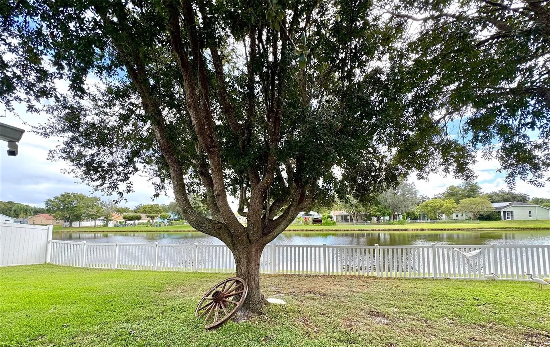 7306 Skyview Avenue New Port Richey FL 34653