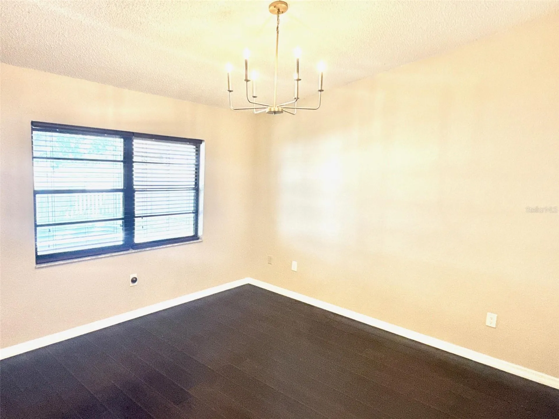 7306 Skyview Avenue New Port Richey FL 34653