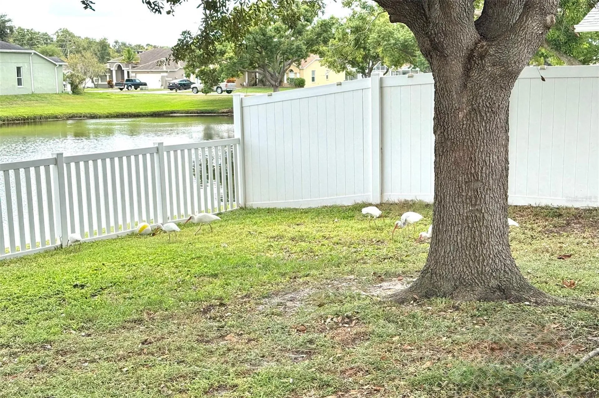 7306 Skyview Avenue New Port Richey FL 34653