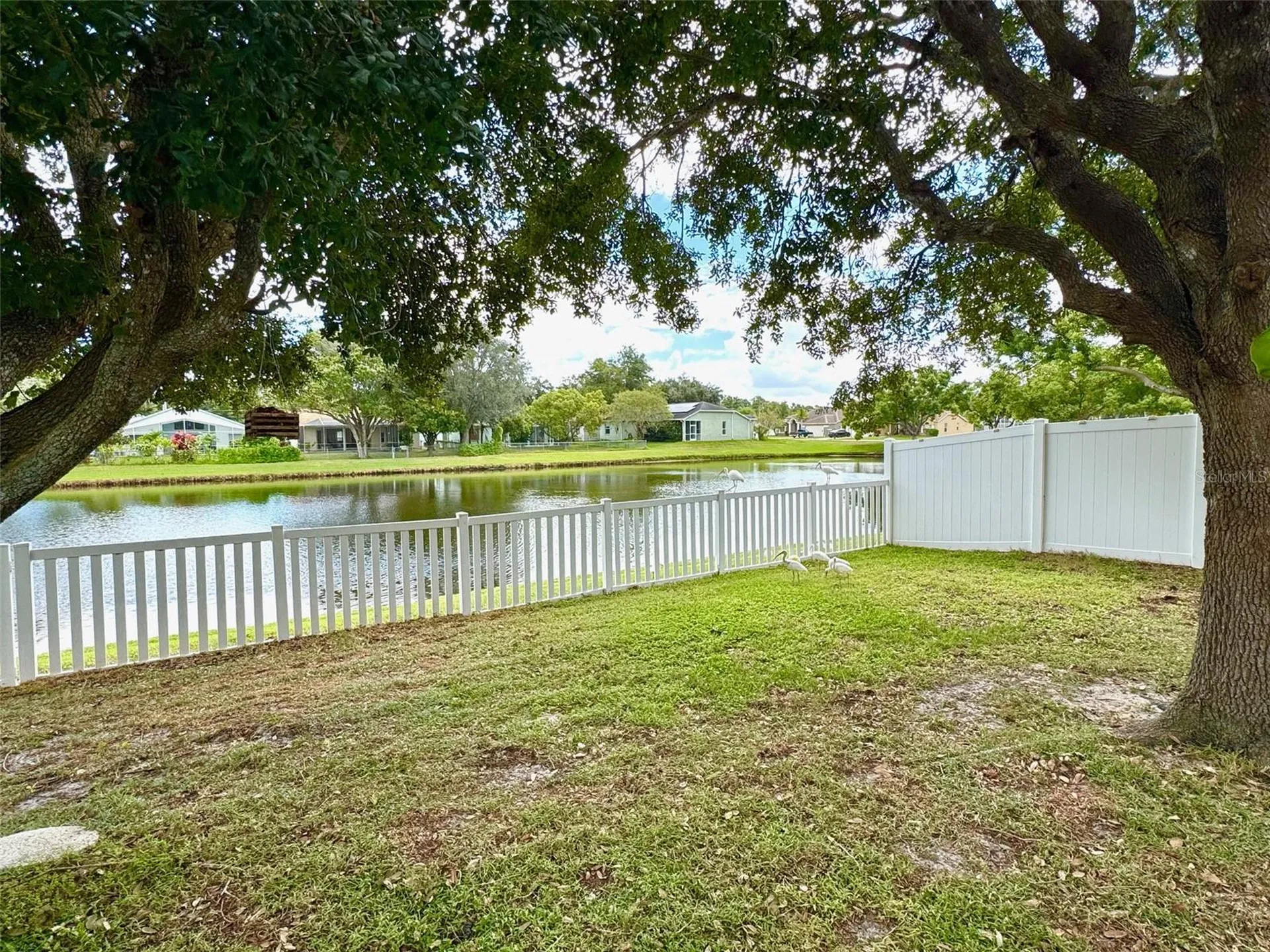 7306 Skyview Avenue New Port Richey FL 34653
