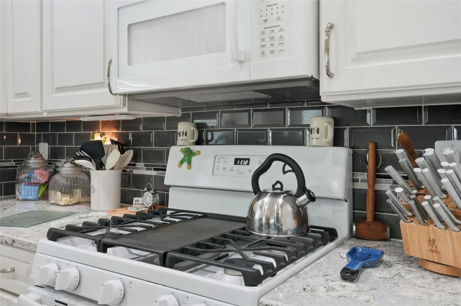 4149 Gevalia Drive Brooksville FL 34604