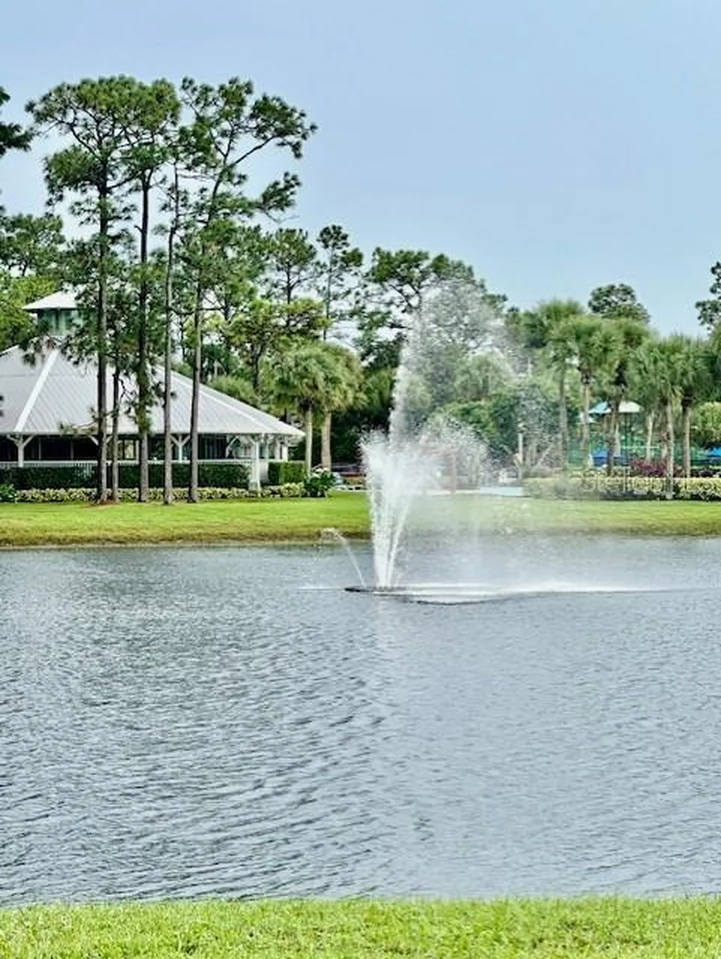10100 Green Branch Court Orlando FL 32825