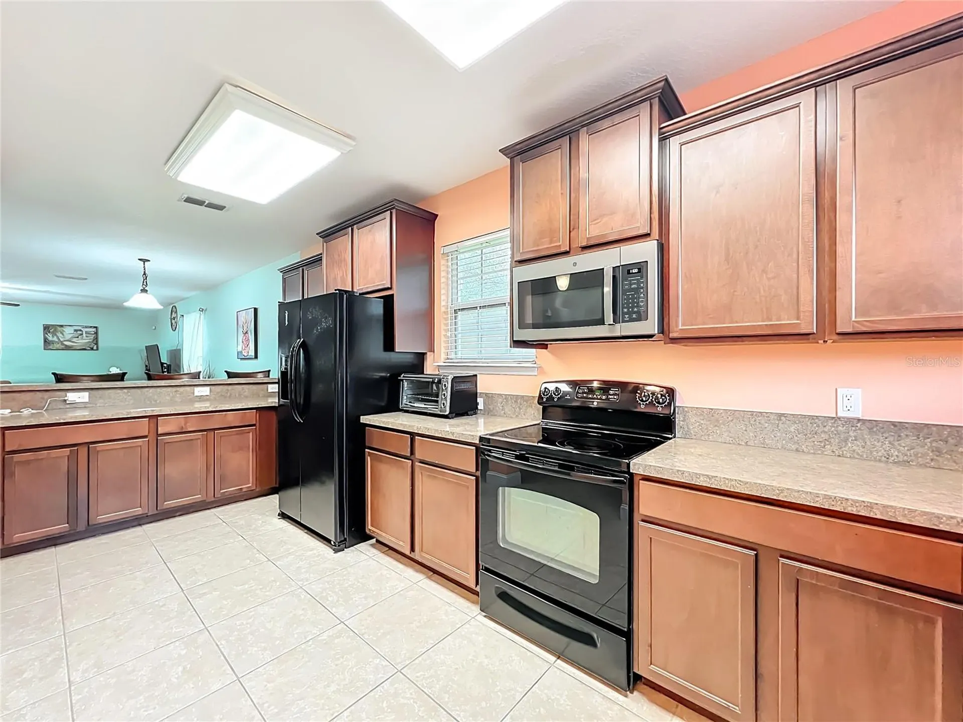 10100 Green Branch Court Orlando FL 32825