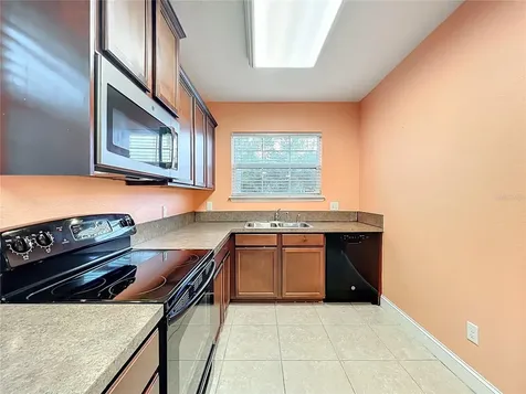 10100 Green Branch Court Orlando FL 32825