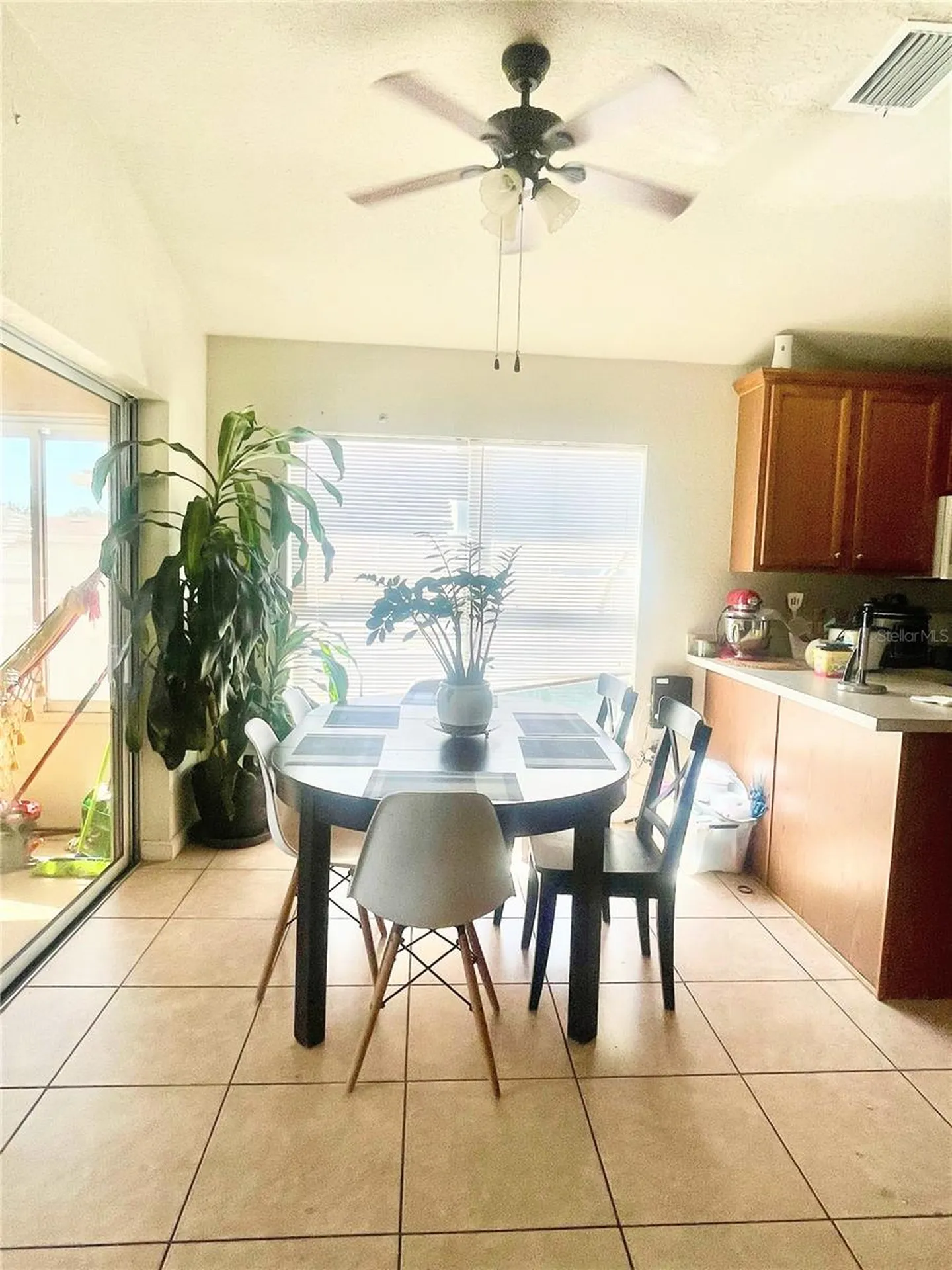 3921 SW 58th Avenue Ocala FL 34474