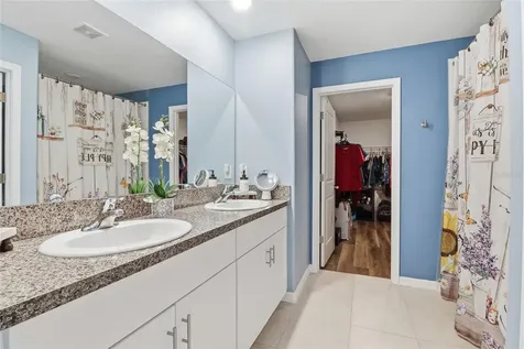 11916 Wild Daffodil Court Riverview FL 33579