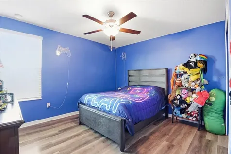 11916 Wild Daffodil Court Riverview FL 33579