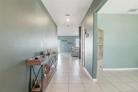 11916 Wild Daffodil Court Riverview FL 33579