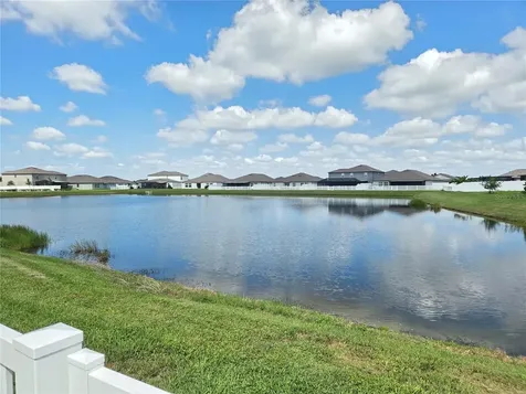 11916 Wild Daffodil Court Riverview FL 33579