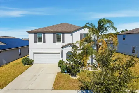 11916 Wild Daffodil Court Riverview FL 33579