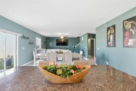 11916 Wild Daffodil Court Riverview FL 33579