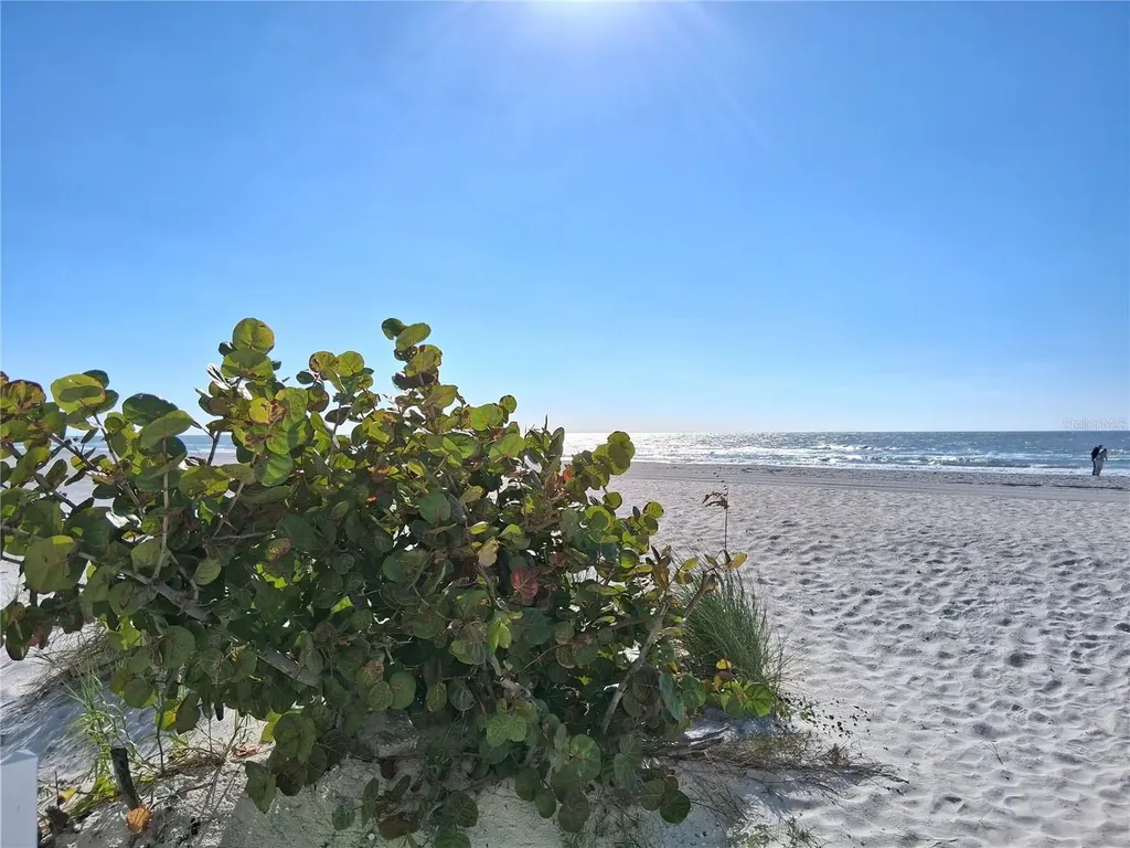 19610 Gulf Boulevard Indian Shores FL 33785