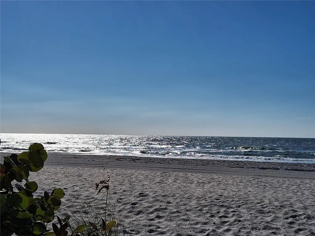 19610 Gulf Boulevard Indian Shores FL 33785