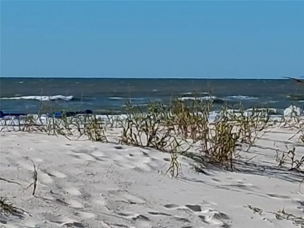 19610 Gulf Boulevard Indian Shores FL 33785