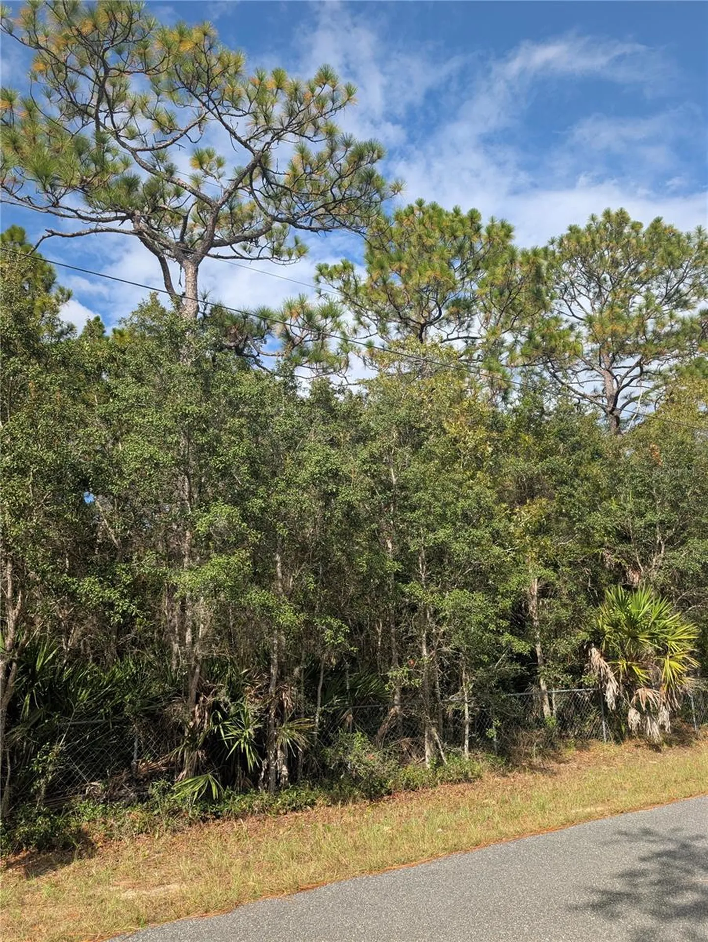 6499 W Heritage Drive Homosassa FL 34448