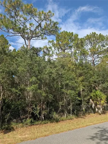 6499 W Heritage Drive Homosassa FL 34448