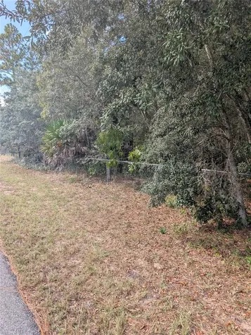 6499 W Heritage Drive Homosassa FL 34448
