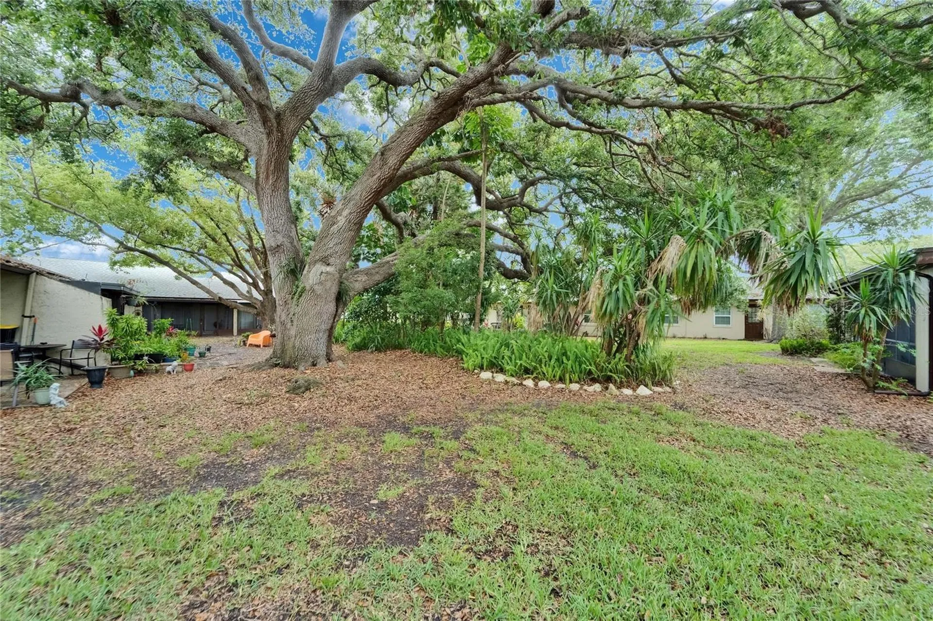 4215 E Bay Drive Clearwater FL 33764