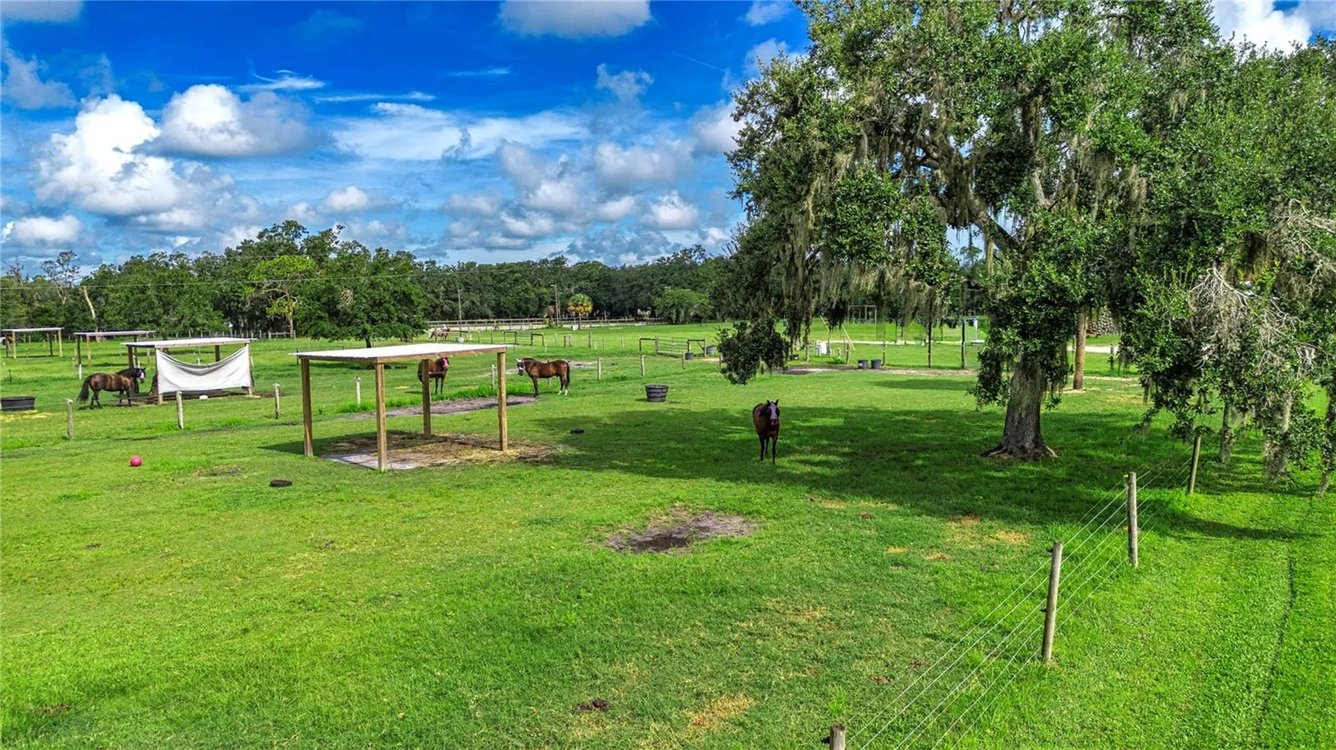 2205 Butch Cassidy Trail Wimauma FL 33598