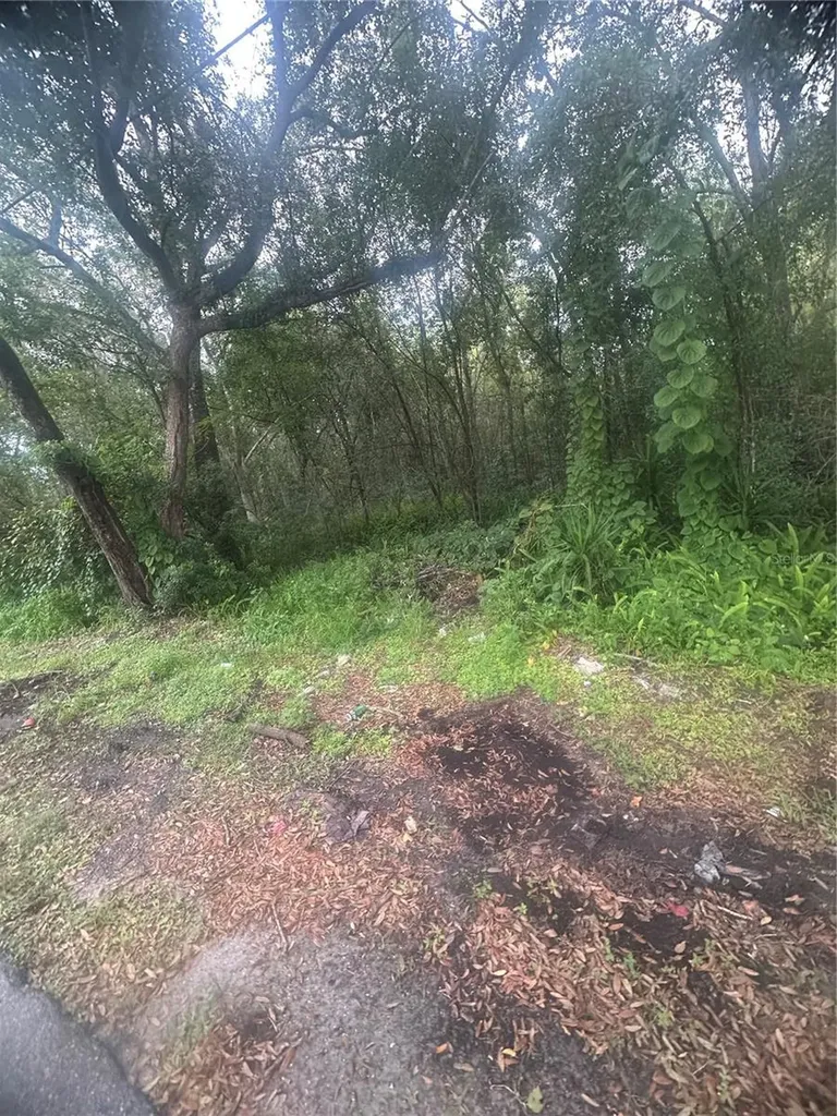 6117 Cornelia Avenue Orlando FL 32807