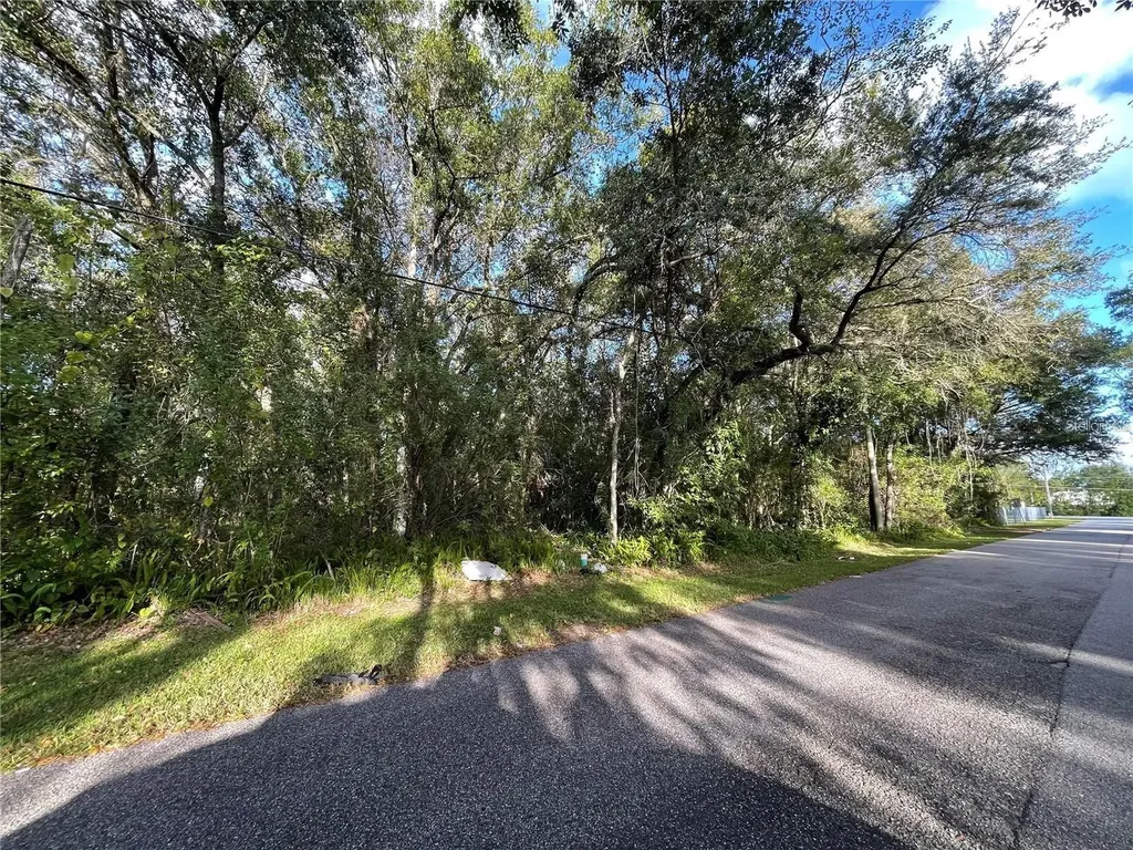 6117 Cornelia Avenue Orlando FL 32807