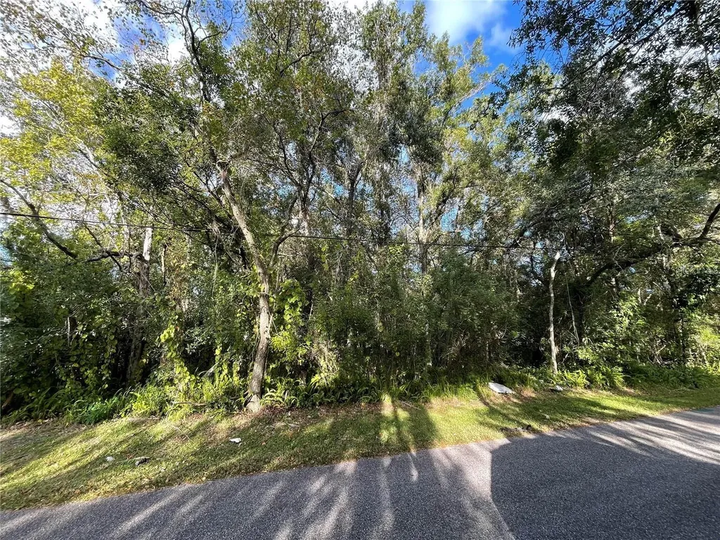 6117 Cornelia Avenue Orlando FL 32807