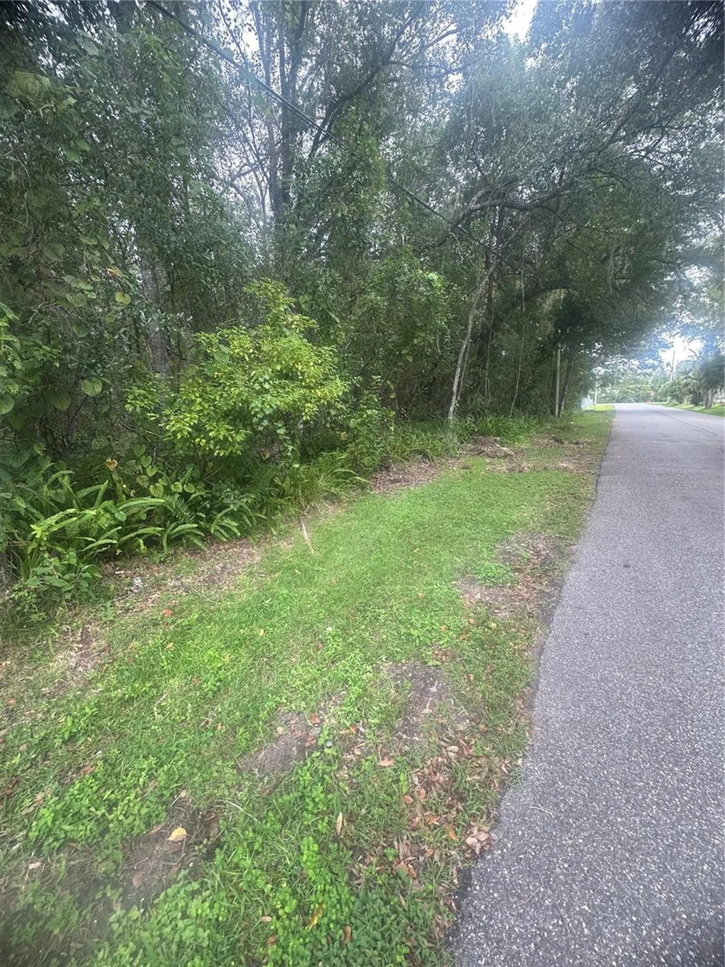 6117 Cornelia Avenue Orlando FL 32807