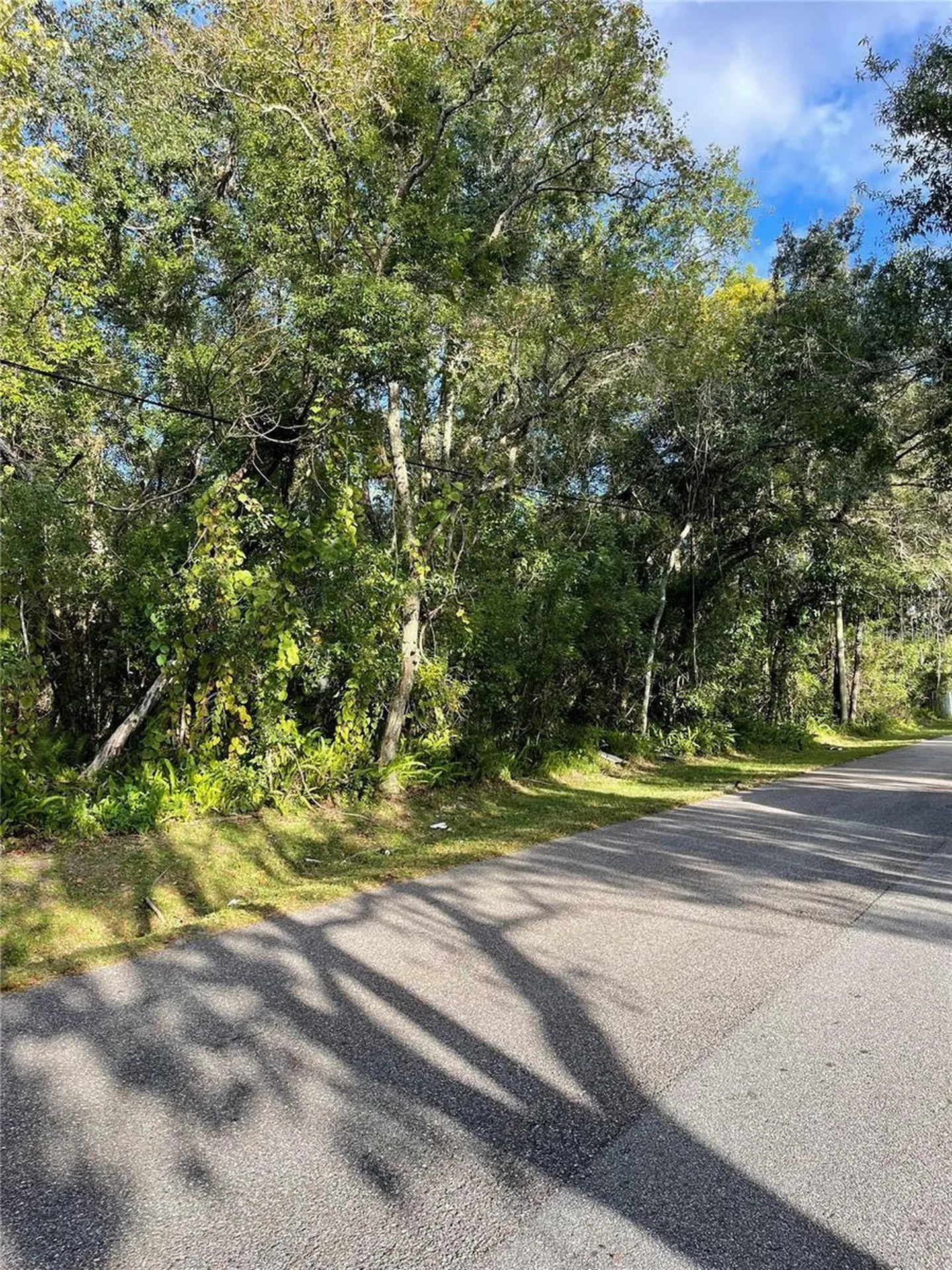 6117 Cornelia Avenue Orlando FL 32807