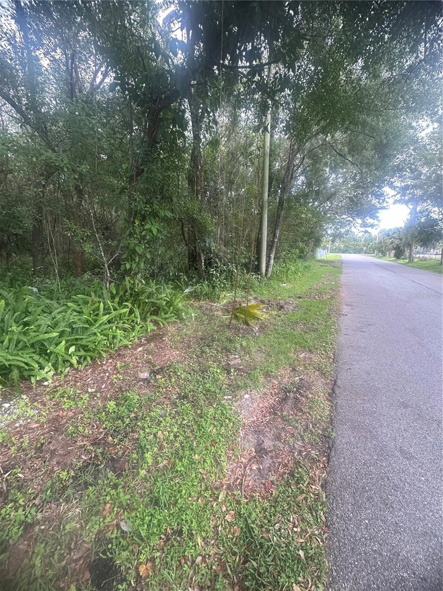 6117 Cornelia Avenue Orlando FL 32807