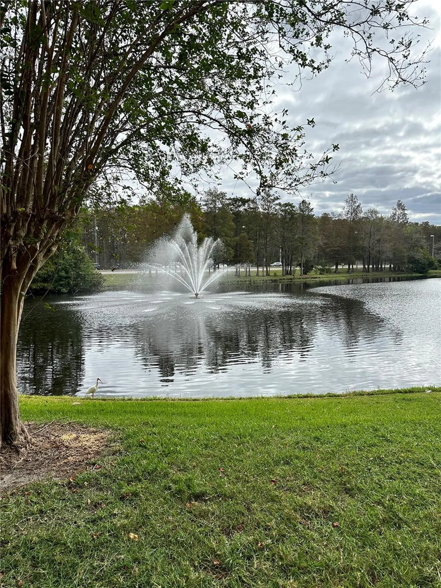 13584 Turtle Marsh Loop Orlando FL 32837