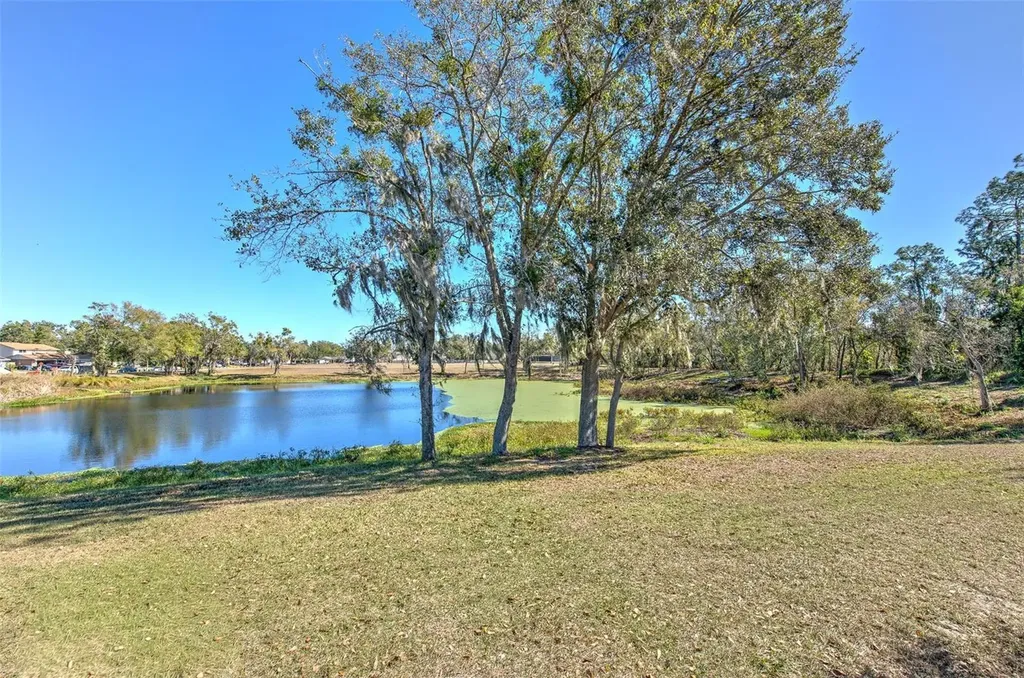 3904 Sweetleaf Drive Brandon FL 33511