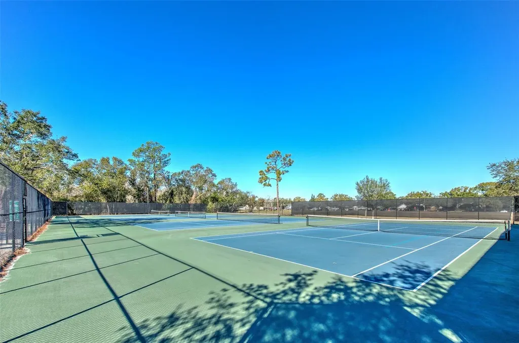 3904 Sweetleaf Drive Brandon FL 33511