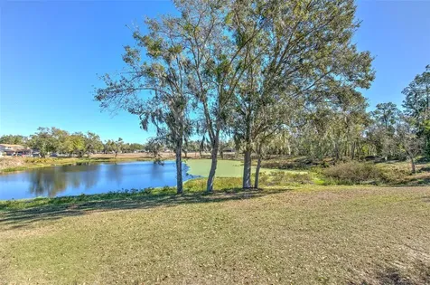 3904 Sweetleaf Drive Brandon FL 33511