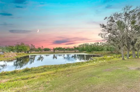 3904 Sweetleaf Drive Brandon FL 33511