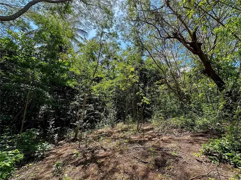 13 Pr-997 Vieques PR 00765