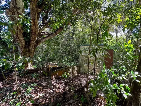 13 Pr-997 Vieques PR 00765