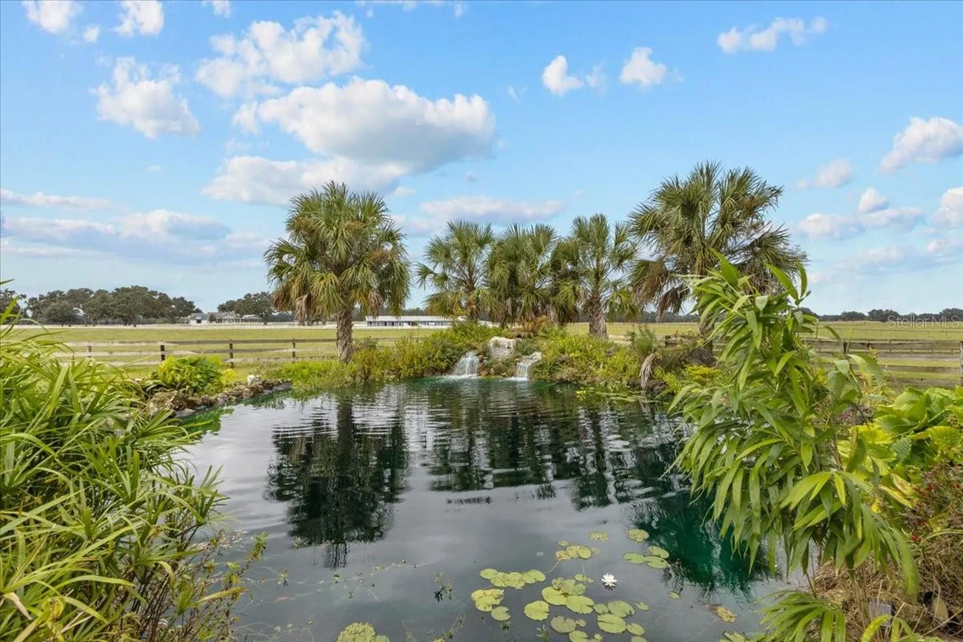 10151 NW 70th Street Chiefland FL 32626