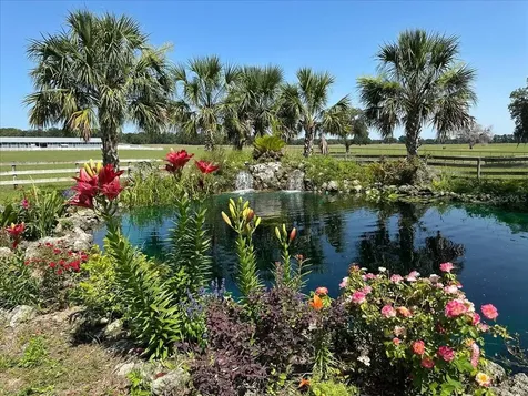 10151 NW 70th Street Chiefland FL 32626