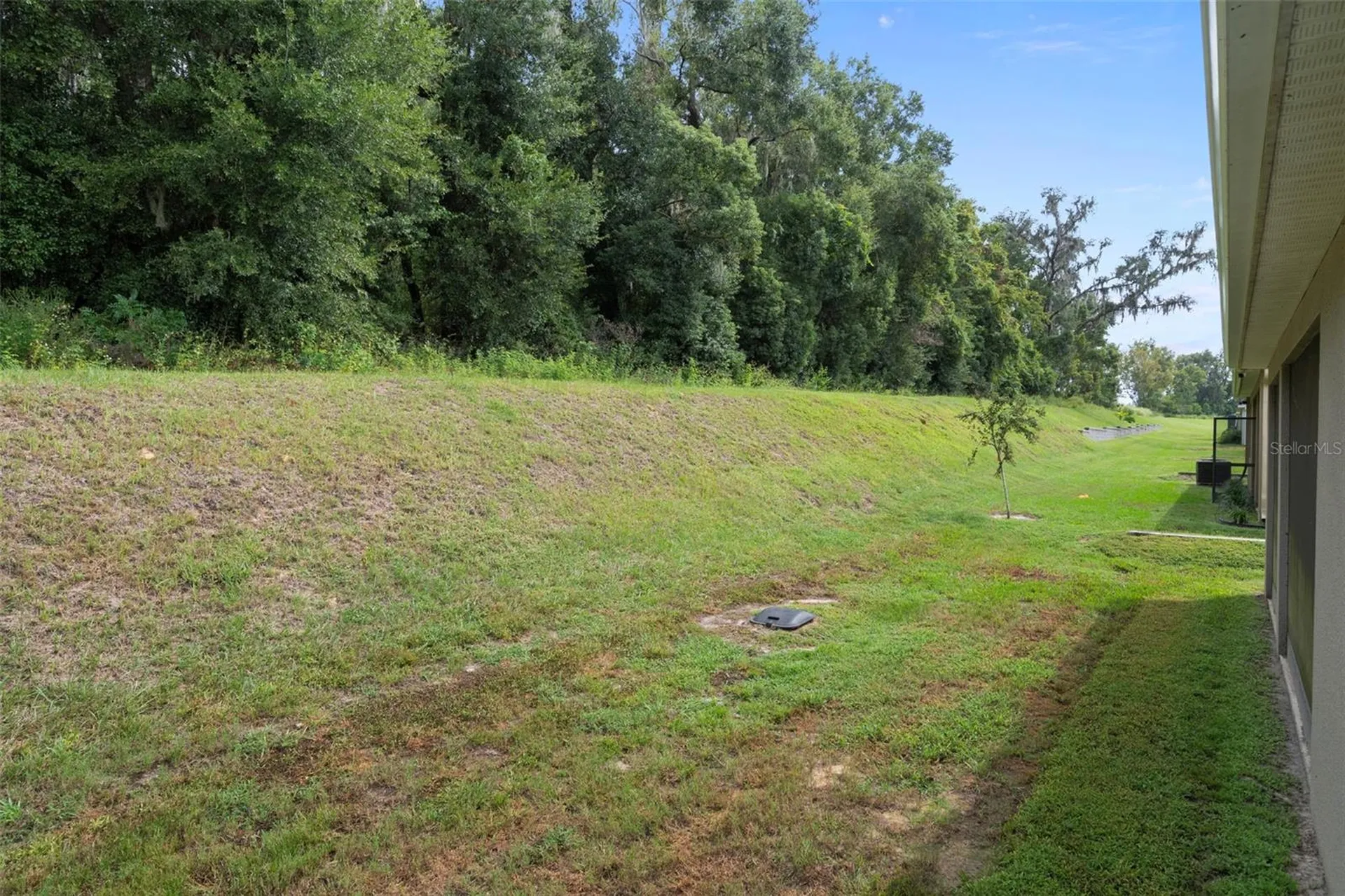 12735 Eastpointe Drive Dade City FL 33525